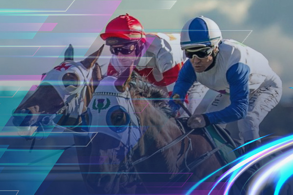 crickex horse racing betting 2