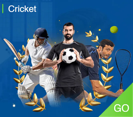 Cricket in India: A passion beyond sport. Experience the excitement, from local grounds to international arenas. Feel the fervor!