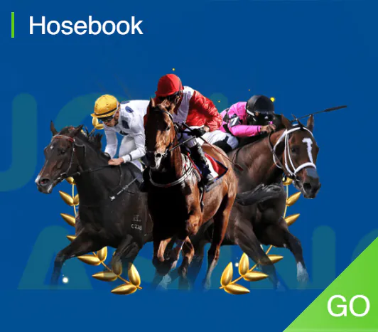 Discover the thrill of horse racing with Horsebook: your ultimate guide to races, betting tips, and live updates. Dive in now!